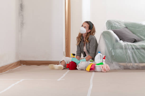 Reliable Black Mold Removal contractor in Saint Inigoes, MD by WQB Mold Removal